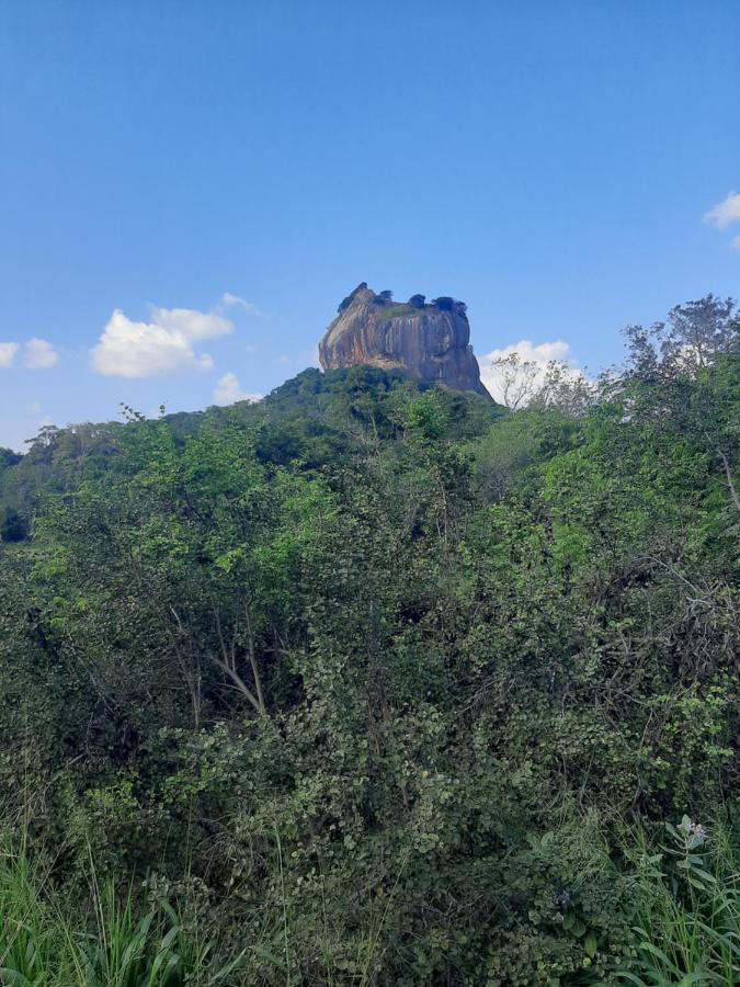 Hotel Chanara Sigiriya Luaran gambar